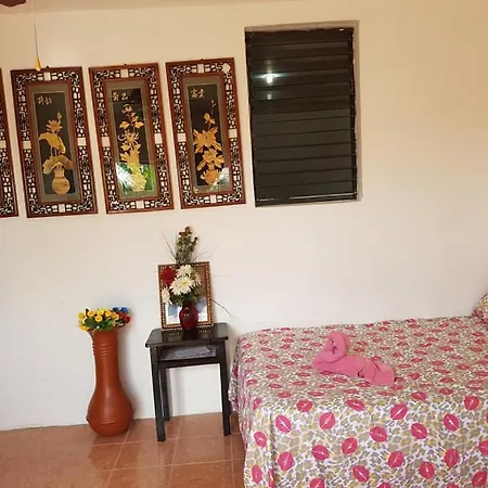 Bachelor Inn Hotel-2